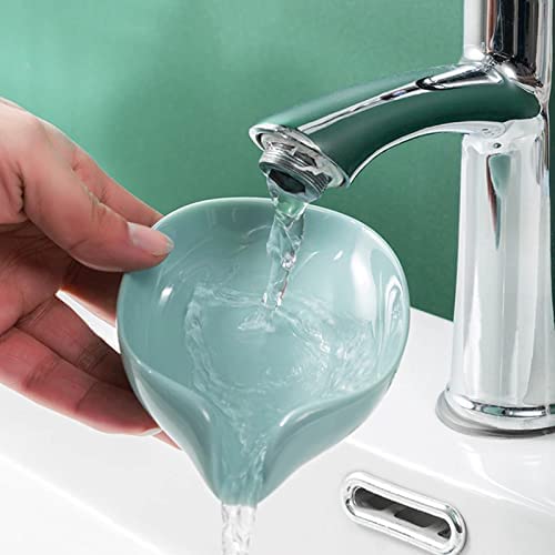 Sigma Leaf-Shape Self Draining Soap Dish Holder
