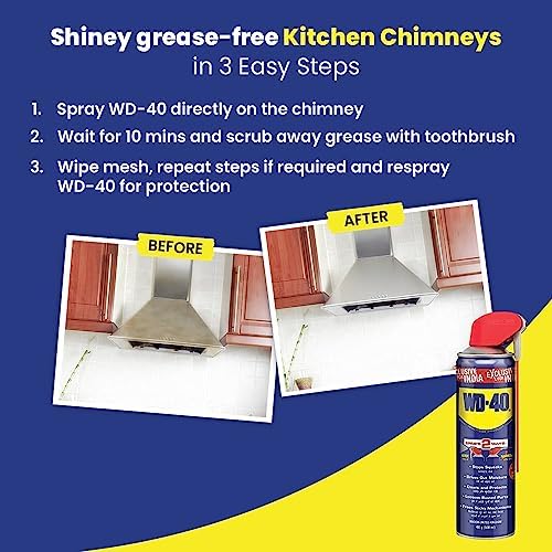 Multipurpose Spray to Clean Rust, Limescale, Jams, Stains, Hinges, Chains and Surface (500 ml)