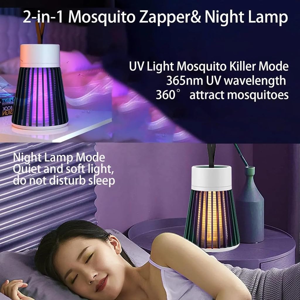 Electromagnetic insect repellent heater against bed bugs