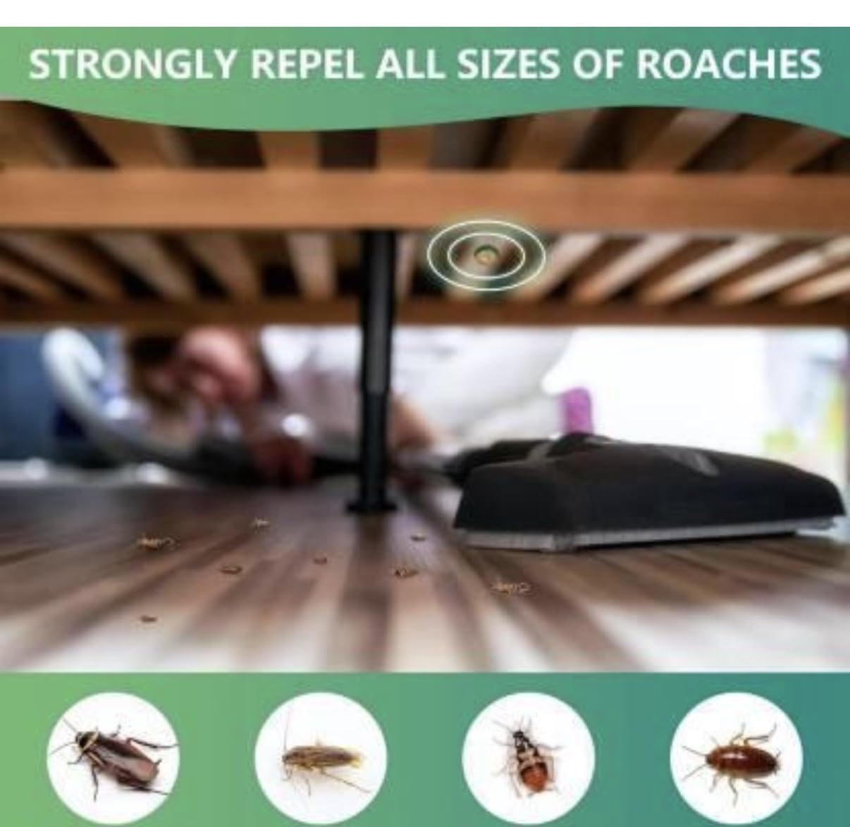 Roach Repellent Cream Gel, Pack of 12