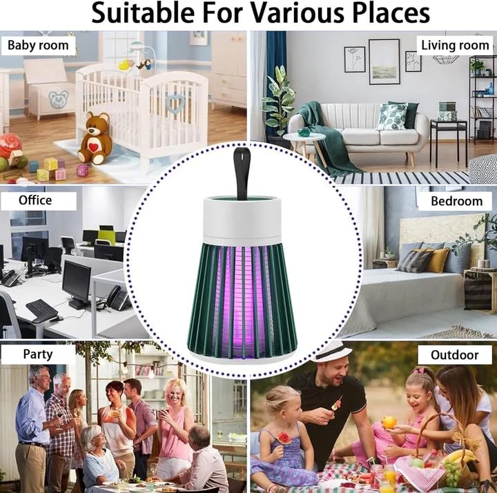 Electromagnetic insect repellent heater against bed bugs