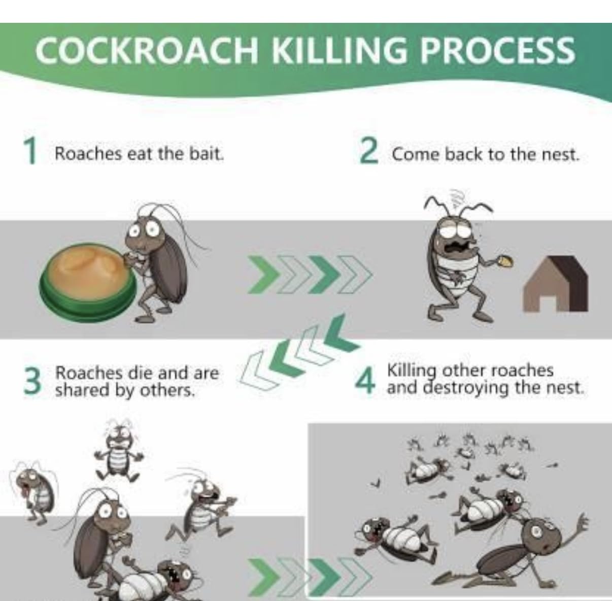 Roach Repellent Cream Gel, Pack of 12