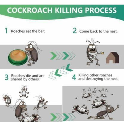 Roach Repellent Cream Gel, Pack of 12