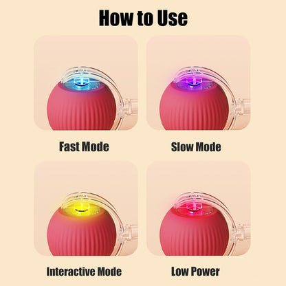 Electric Cat Ball Toy with LED Light, Chirping Sounds & Teasing Rope Tails