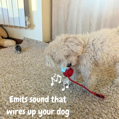 Electric Cat Ball Toy with LED Light, Chirping Sounds & Teasing Rope Tails