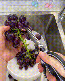 Heavy Duty Kitchen Scissors